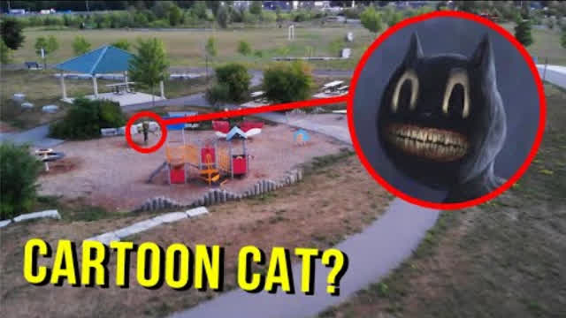 DRONE CATCHES CARTOON CAT AT PARK (3AM) (BAY BLADE)