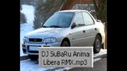 DJ SuBaRu - Anima Libera REMIX