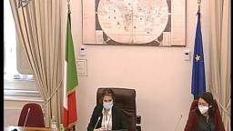 Intervento di Crozet alla Camera Tav Torino - Lione classico esempio di manipolazione - 16-DIC-2020