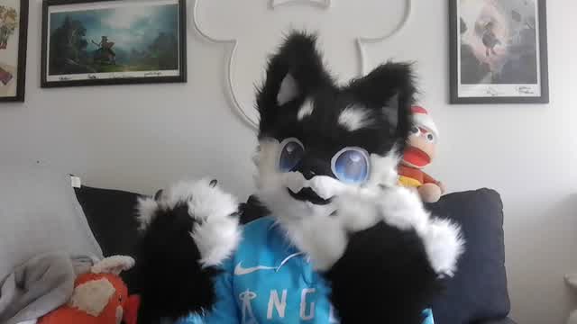 Why Does VidLii Dislike Furries