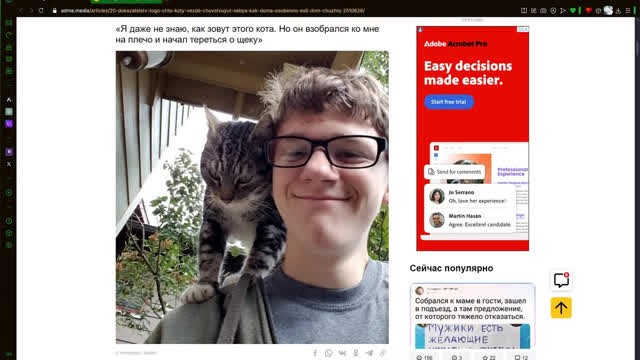 you reposted the wrong henereye extended (read desc)