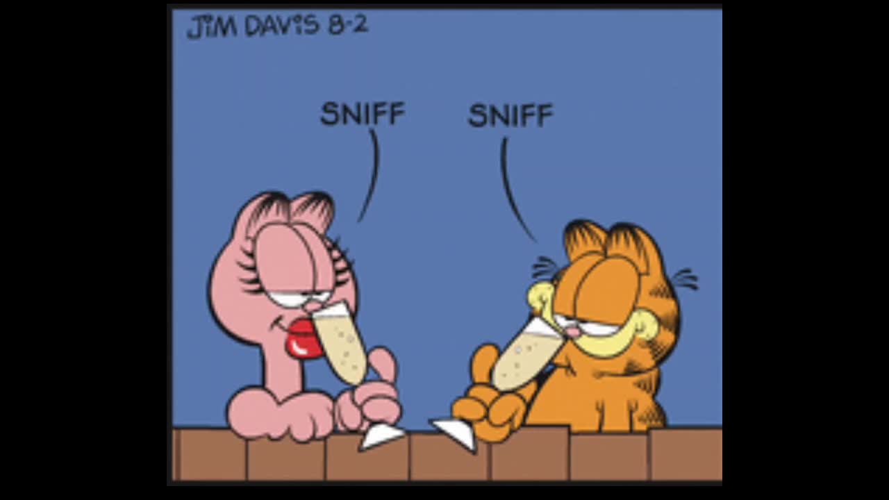 Garfield Comic Dub for August 2nd, 2024