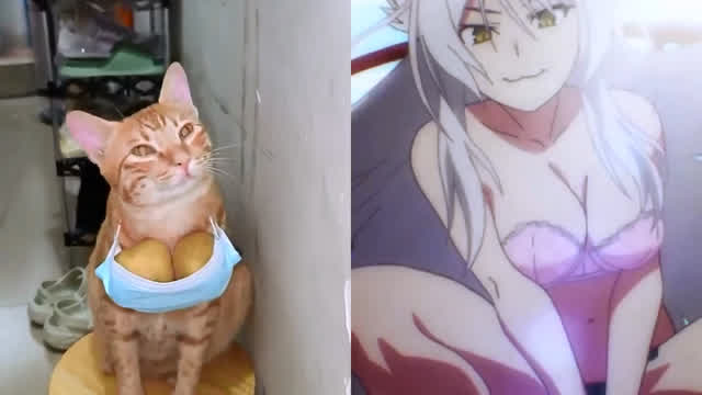 Real Catgirl