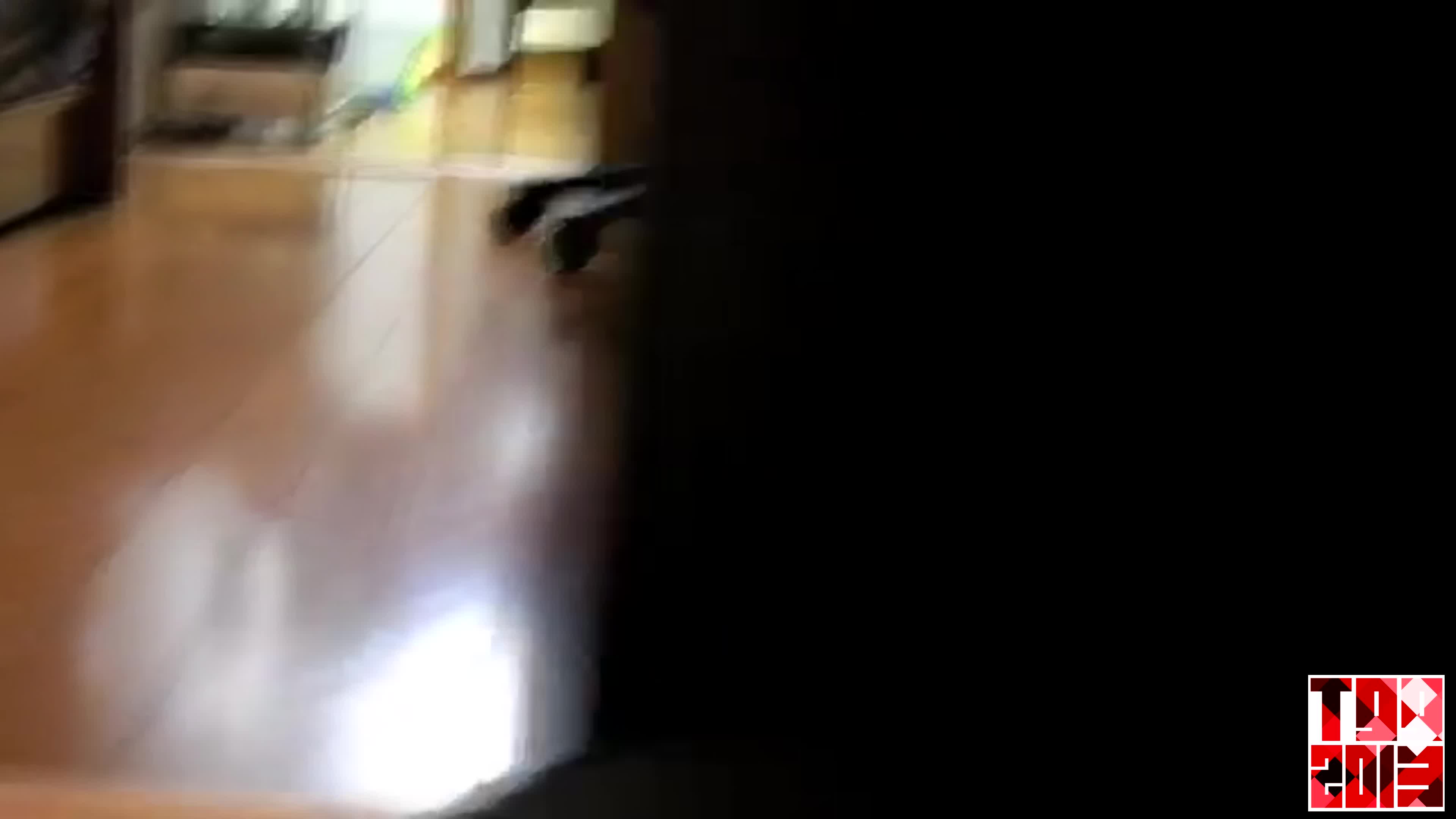 [Loud] stalking cat ＤＵＨmpscare