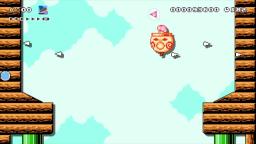 Super Mario Maker 2 - SHMUP Level Playthrough (155000 pts)