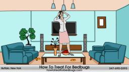 Bedbugs Service In Buffalo 347-690-0393