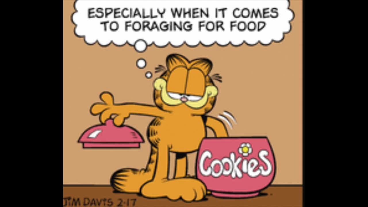 2026_02_17 Garfield Comic Dub