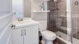 How To Check The Bathroom Leaks – Homeowner’s Guide