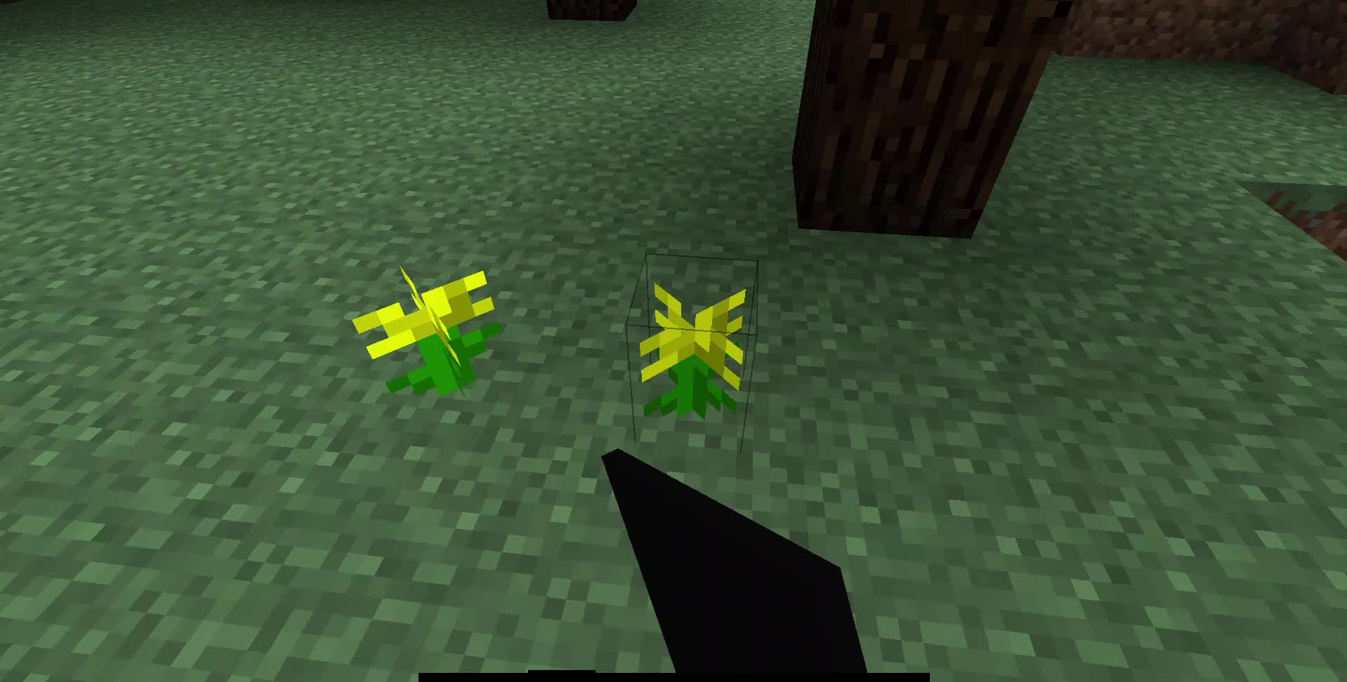 Minecraft review