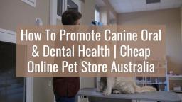 How To Promote Canine Oral & Dental Health  Cheap Online Pet Store Australia