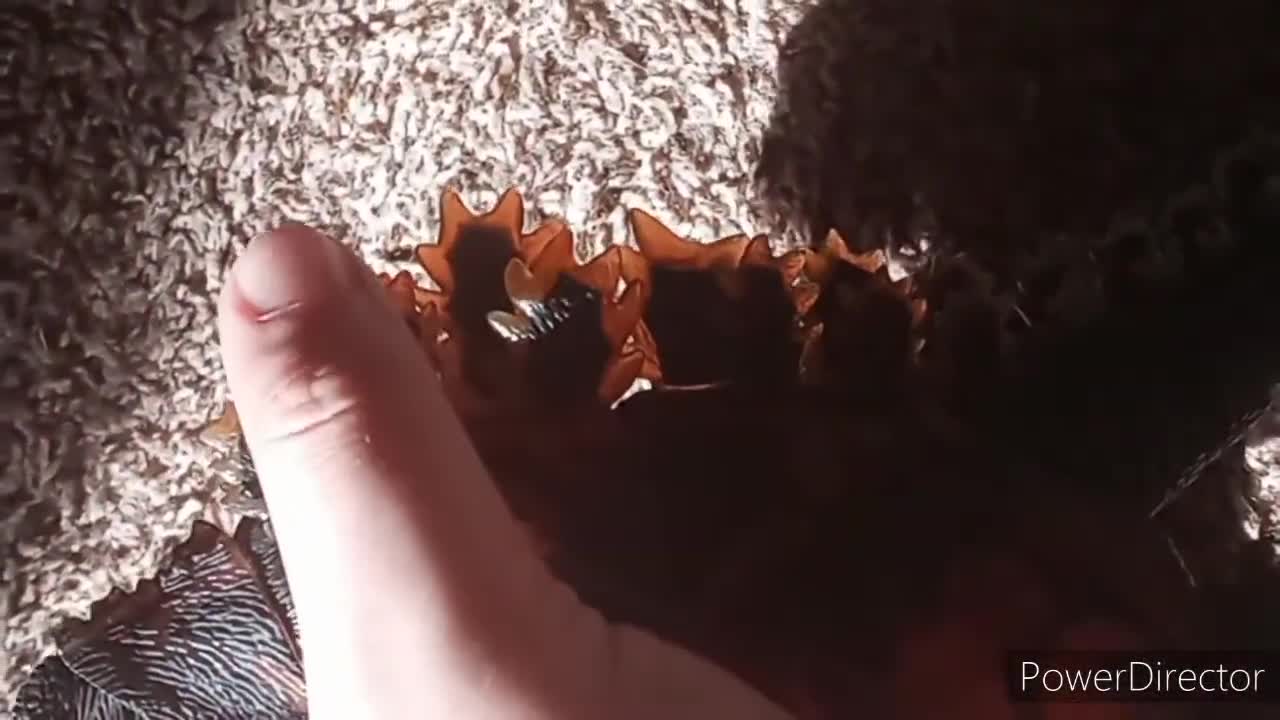 Unboxing y review_ Burning Godzilla de Neca