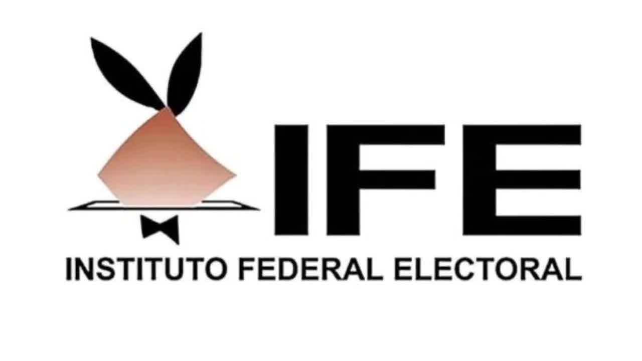 IFE-COFETEL 1998-99