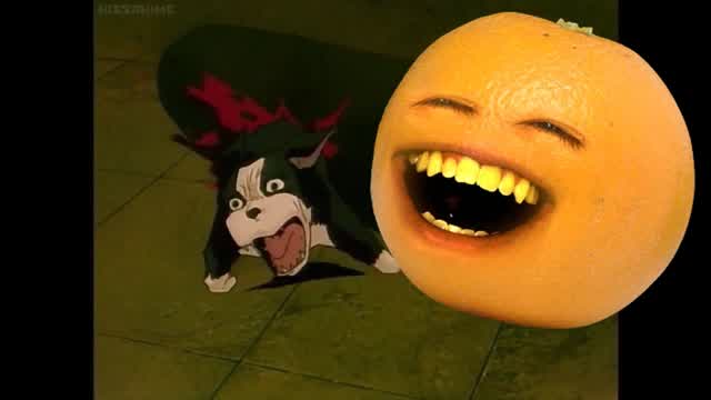 Iggy Dies In Annoying Orange Style