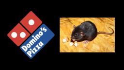 Ratas dentro de pizzeria Dominos en Israel