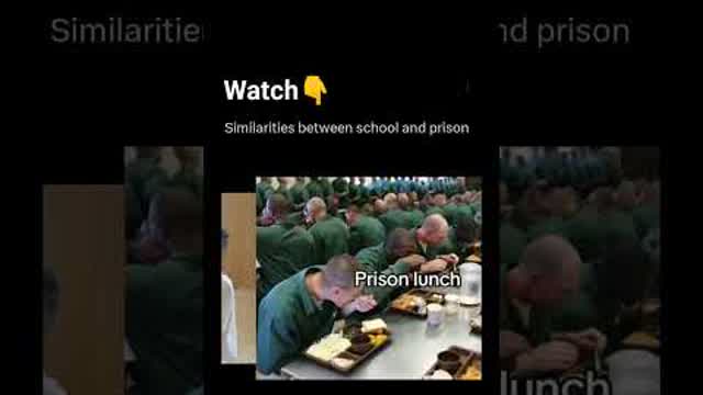 you fear going to jail but love school haha stupid!!!