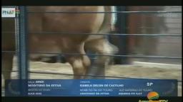 vlc-record-2021-09-15-18h42m20s-Agro Brasil TV-