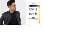 SPONG POP CALL RWJ