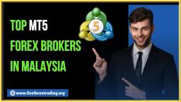 Top MT5 Forex Brokers Malaysia - MT5 Trading 📈 Liveforextrading.org