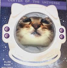 a astronaut cat image renamed suffix to mp4