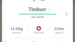 Pokémon GO-Shiny Timburr