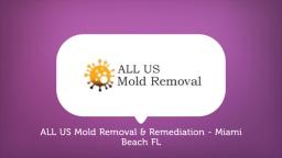 ALL US Mold Removal & Remediation in Miami Beach FL : Home Inspector