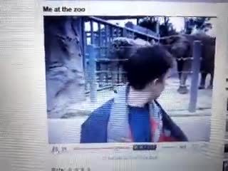 Re: Me at the zoo