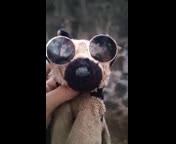 Un_Puesto_de_Guajolotes_en_una_Zona_Rica.3gp Un_Puesto_de_Guajolotes_en_una_Zona_Rica.3gp