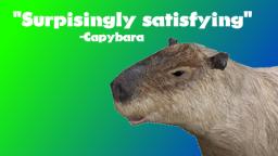 Capybara Feels Blessed