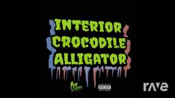 Happy Crocodile In Alligator