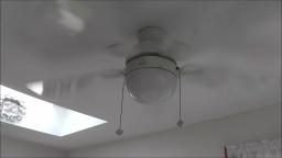 CEILING FAN WITH A LIGHT