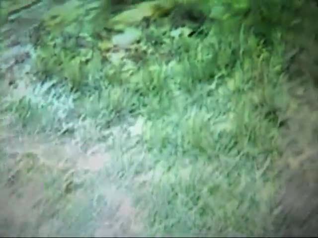 Mario & Luigi - ''Cinema'' - (Cayby J) Mario & Luigi - ''Cinema'' - (Cayby J)