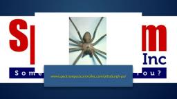 Pittsburgh Exterminator - Spectrum Pest Control (412) 532-1380