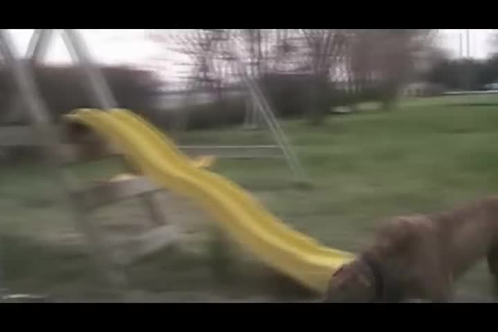 Fred Goes to the Park