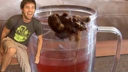 Poop In A Cup