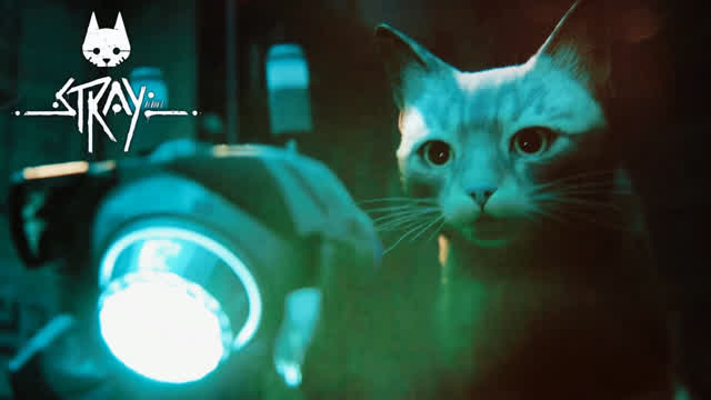 Purrfect Companion (Stray PS5)