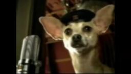 Classic Taco Bell Commercials 1998-2000 With Gidget