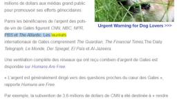 Bill Gates a payer les mediats en France Daniel Boleau Bill Gates a payer les mediats en France Daniel Boleau