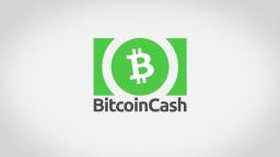 Bitcoin Cash Logo Animation