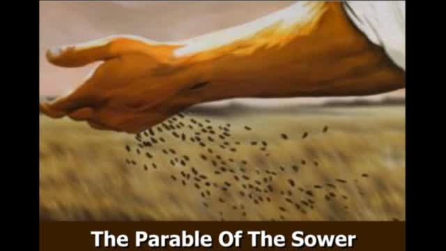The Sower of the Seed. Which seed are you? (SCRIPTURE)