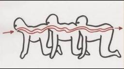 The Human Centipede (Review) - WTF MY MIND GOT RAPED