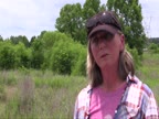 Tropical marsh bird discovered at Oak Ridge