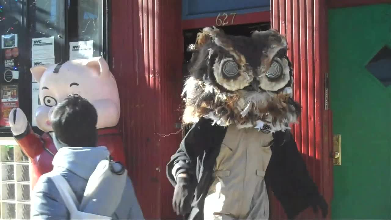 Owls Exiting