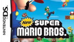 Time Running Out: New Super Mario Bros. DS