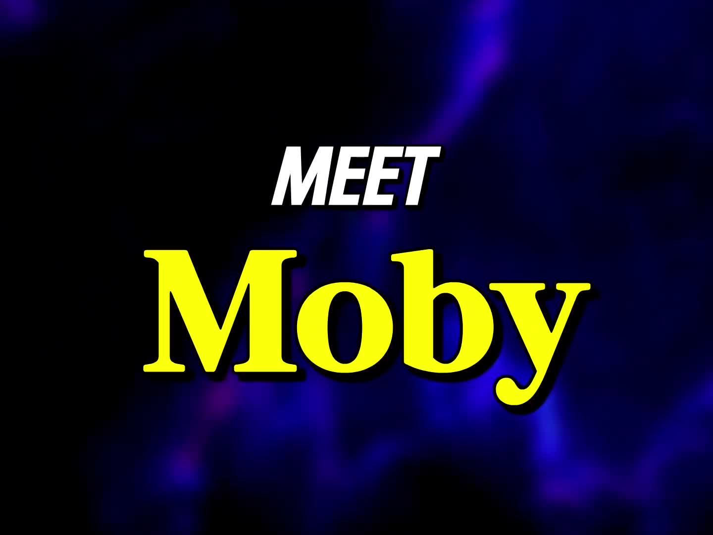 Band Davion - Meet Moby!