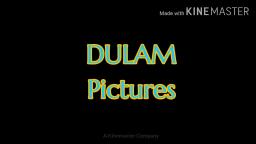 DULAM Pictures Logo Of 2020