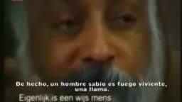 Ninguna sociedad quiere que te vuelvas sabio