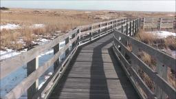 A WHOLE LAP AROUND THE BOARDWALK AT THE THEDORE ROOSEVELT NATURE CENTER