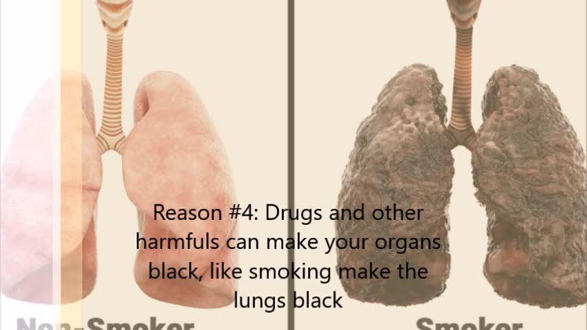 Why Blacks are Hated Why Blacks are Hated