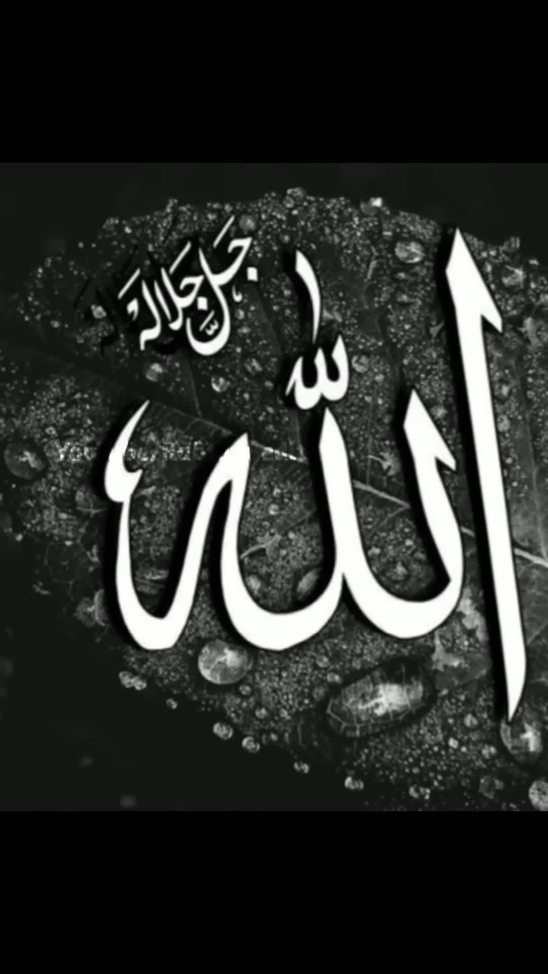 Miracle of Allah☝😱_ #minis