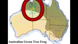 Game Theory: Frogger, Australian for Games